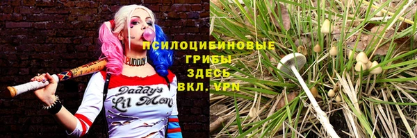 первитин Верхний Тагил