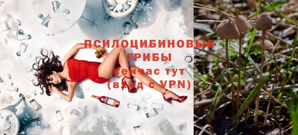 PSILOCYBIN Верея